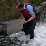 Zoological Society of London teams up with Kingston University volunteers to keep track of eels