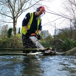 Students, staff and borough residents join forces in biodiversity volunteer project to transform Hogsmill River banks