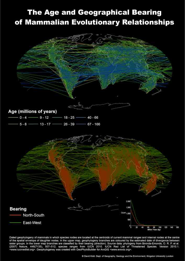 The Age and Bearing of Mammalian Evolutionary Relationships - Lines are connect the nodes of a supertree of all Mammals with the tips located at the center of the range of each mammal range.