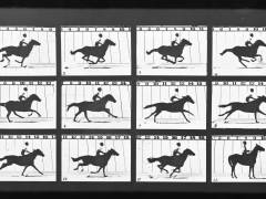 International conference celebrates work of moving image pioneer Eadweard Muybridge and relocation of personal archive of his work to ſֳ