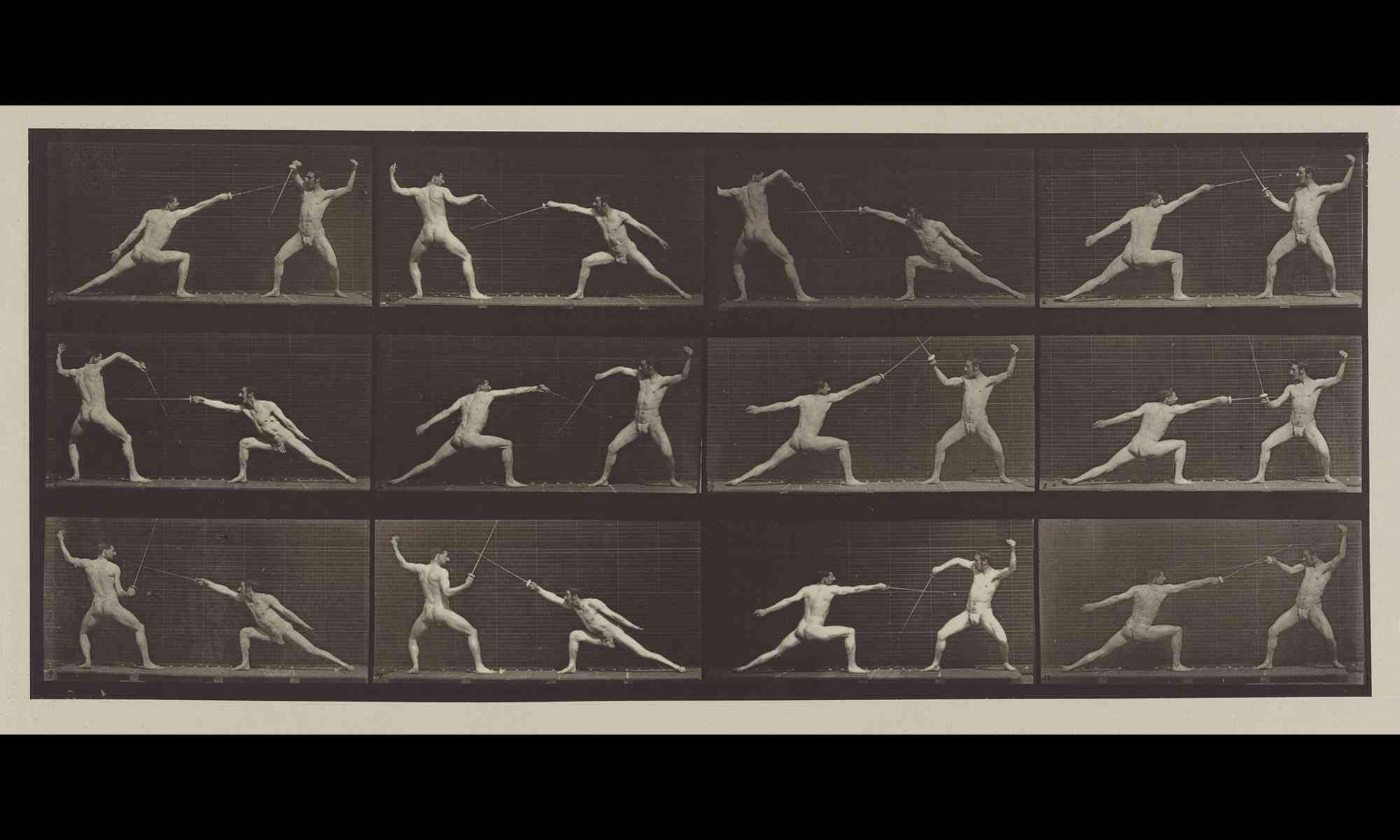Muybridge photograph  - Fencing