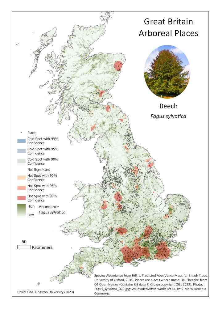 Places with Beech in their name and the distribution of Beech trees - Hot spot analysis reveals regions with high density of Beech trees also have high density of places with beech in their name.