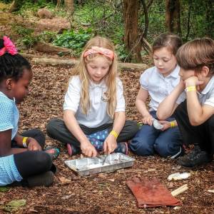 Play while you learn: Kingston University students get first-hand experience of forest schooling at woodland site at Kingston Hill campus