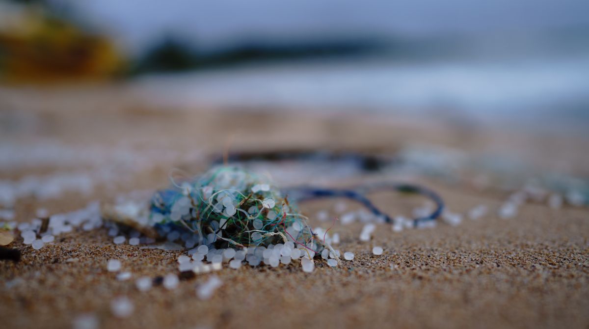 World Ocean Day: Kingston University expert analyses issue of microplastics