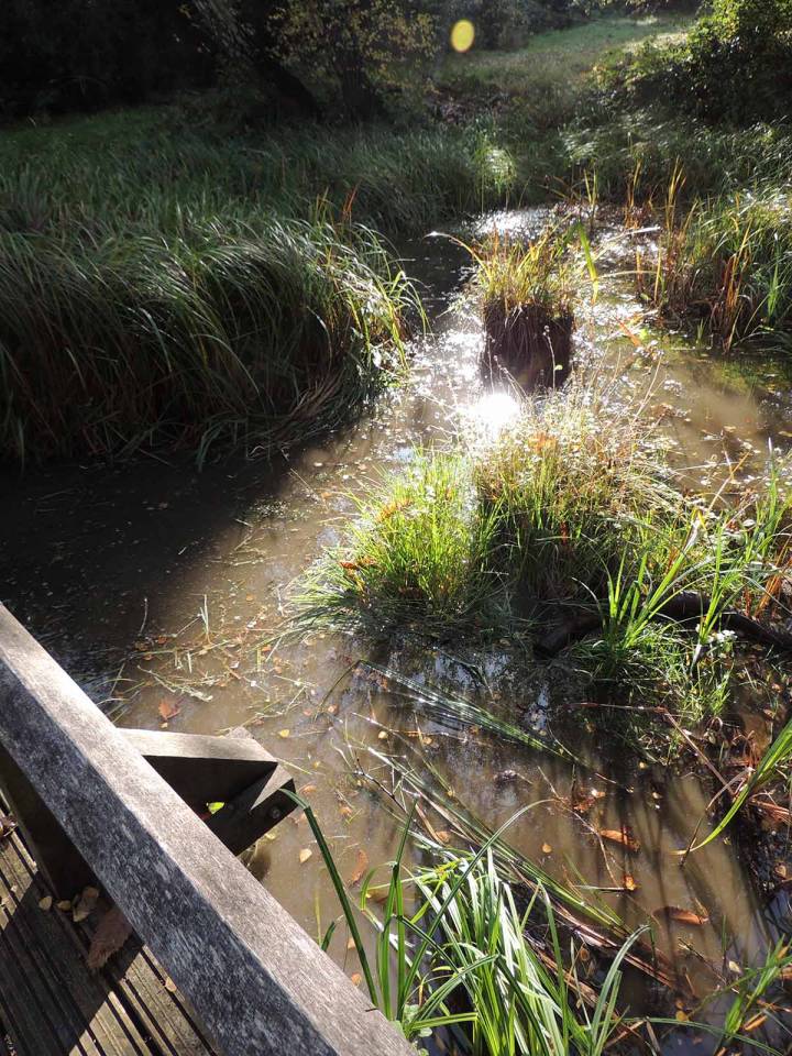 Ditch Restoration with the Environment Trust