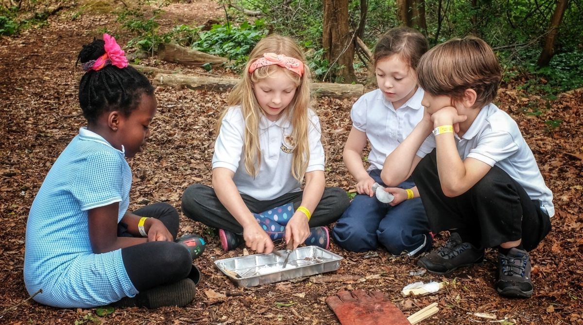 Play while you learn: Kingston University students get first-hand experience of forest schooling at woodland site at Kingston Hill campus