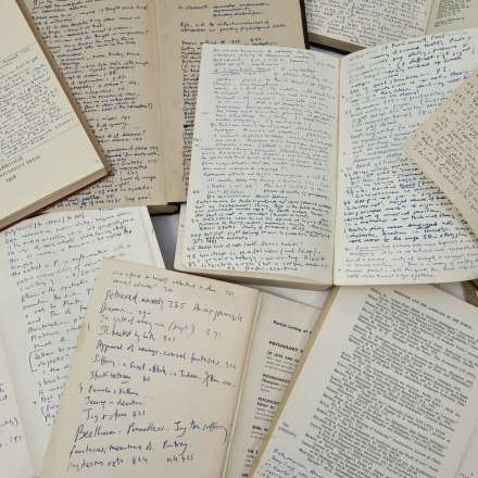 Iris Murdoch annotations in books