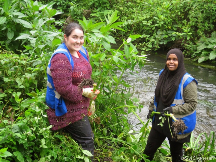 Hogsmill River clean up