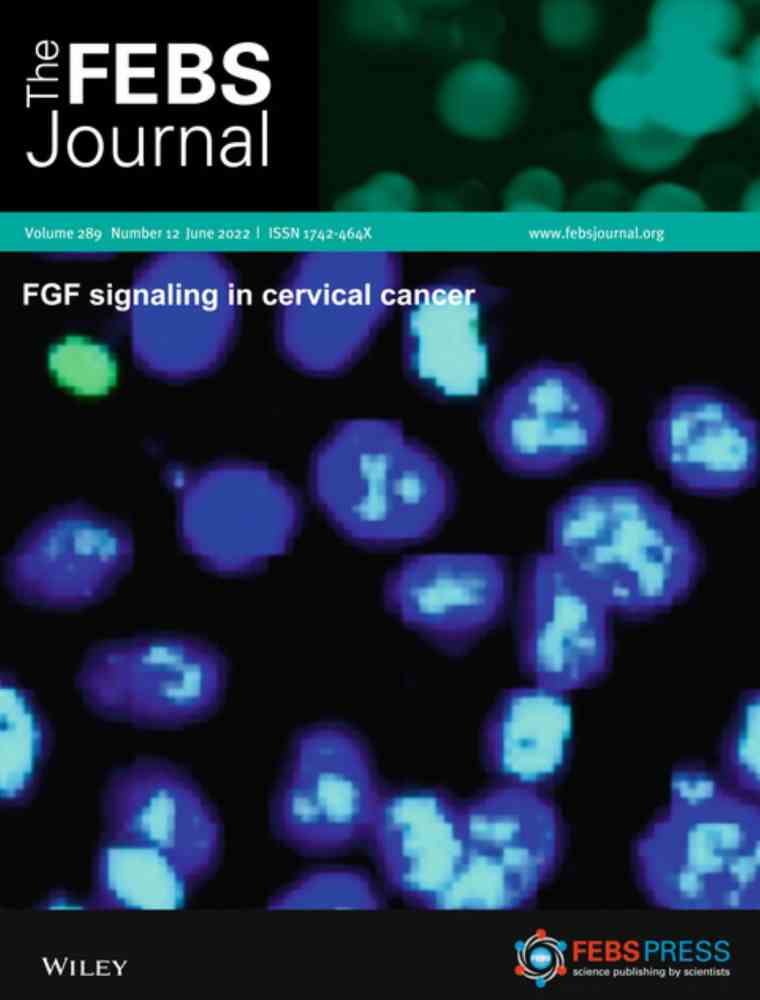 Front Cover at The FEBS Journal Volume 289, Issue 12 Jun 2022; Pages3281-3588 - FGF signaling in cervical cancer