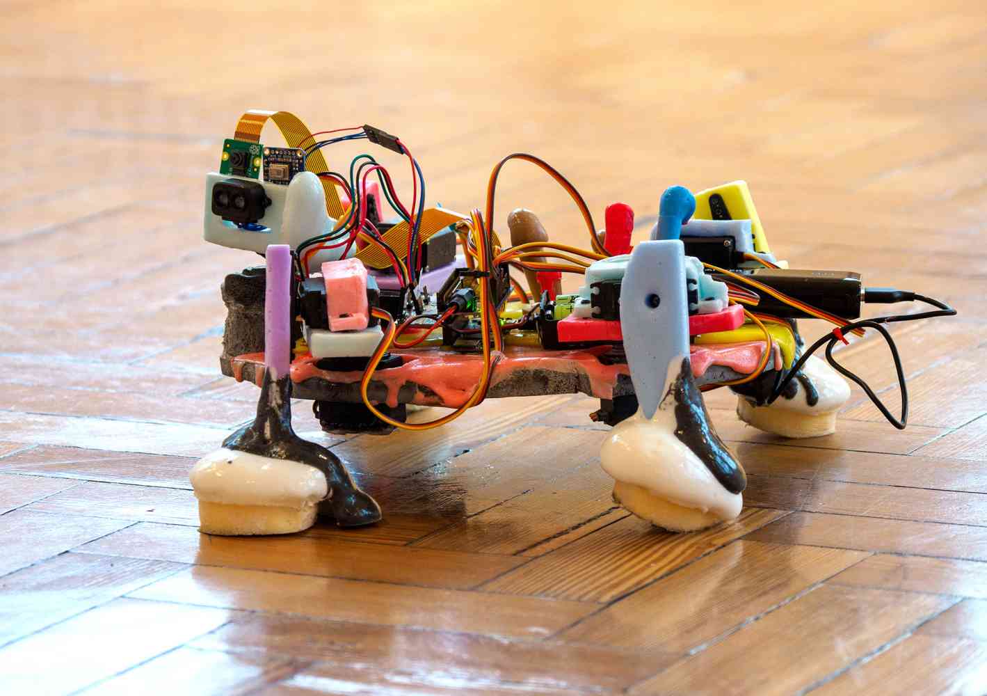 Evolutionary Love - Robo 'crawler' at Bury Art Museum, 2021-2