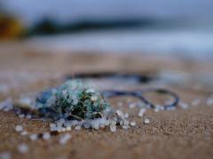 World Ocean Day: ſֳ expert analyses issue of microplastics