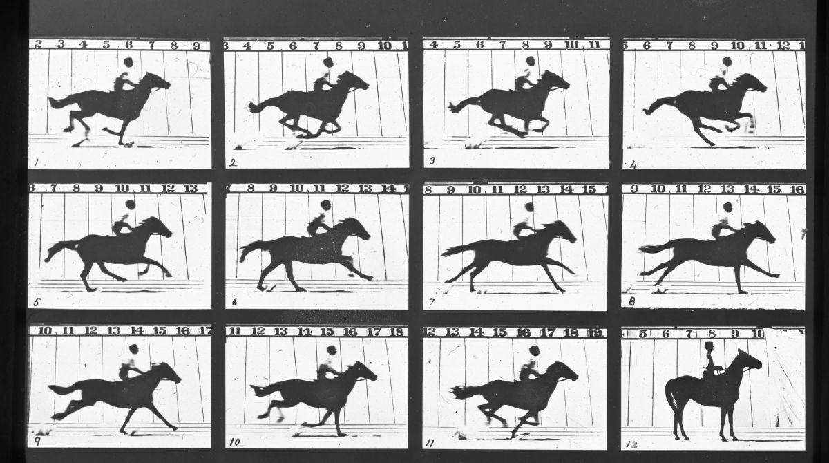 International conference celebrates work of moving image pioneer Eadweard Muybridge and relocation of personal archive of his work to Kingston University