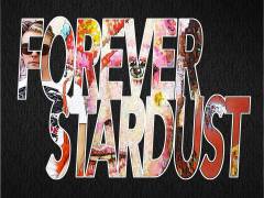 Kingston University professor Will Brooker launches David Bowie biopic website called Forever Stardust