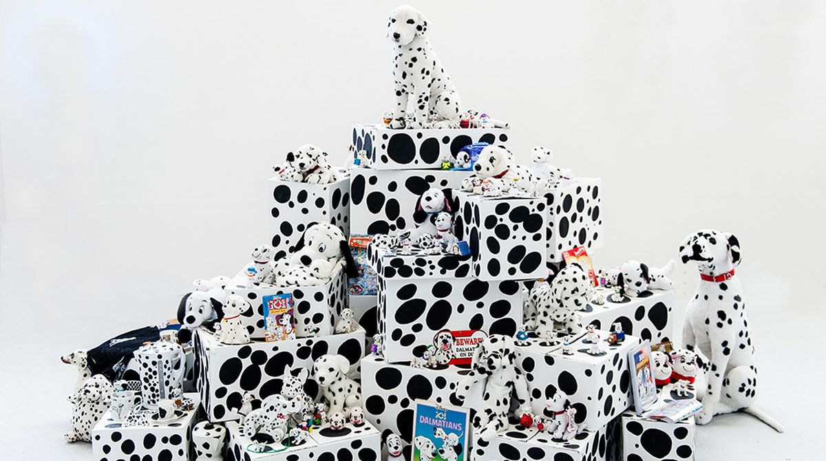 Kingston University fine art graduate gets it spot on with 101 Dalmatian-inspired installation