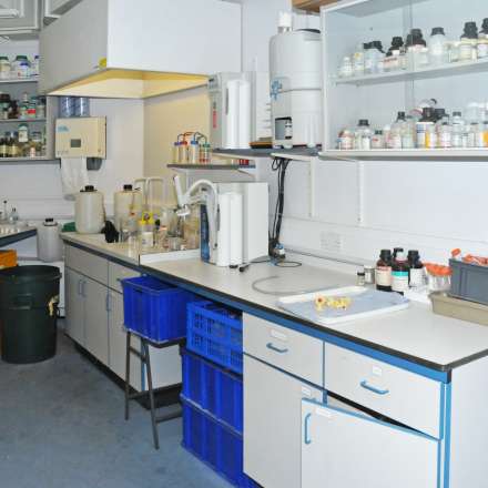 Palaeoecology laboratory