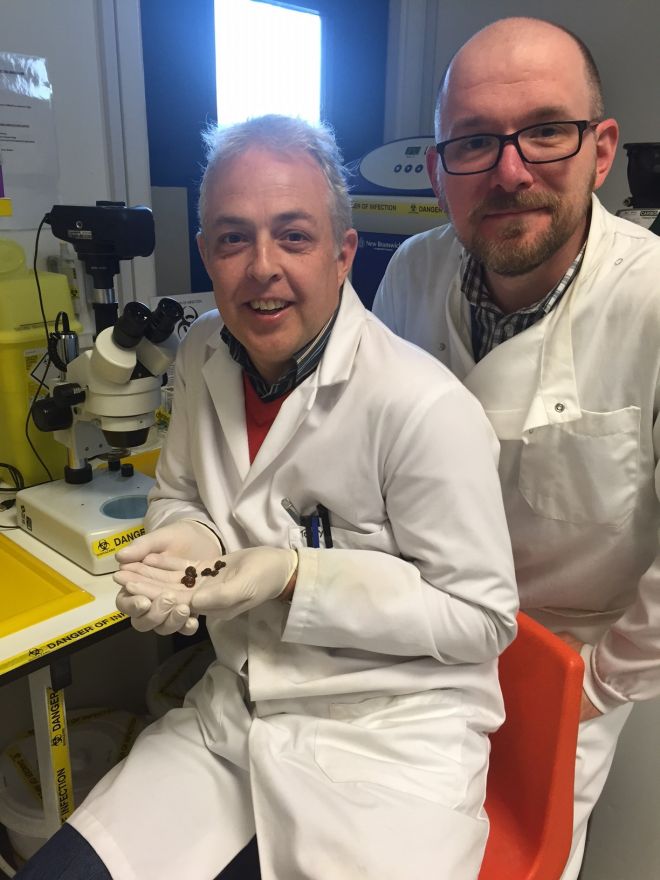 Research by Professor Tony Walker (left) and Dr Scott Lawton could help control and eliminate a deadly parasitic disease spread by snails in tropical waters. 