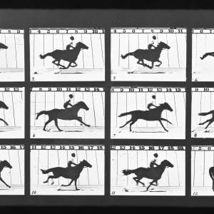 International conference celebrates work of moving image pioneer Eadweard Muybridge and relocation of personal archive of his work to ؿζSM