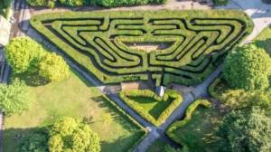 Hampton Court Palace maze