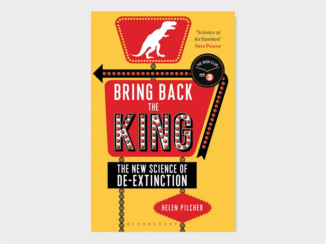 Book cover: Bring Back the King by Helen Pilcher