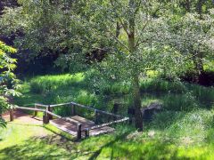 Biodiversity: Pond Maintenance