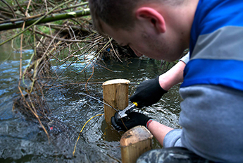 The Hogsmill River project is the University's largest biodiversity volunteer project to date. Picture by Oliver Lafçı