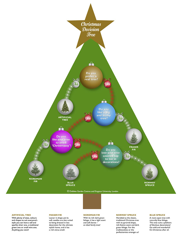 Dobbies Garden Centre customers are using Dr Gordon Hunter's Christmas decision tree as a guide to picking the perfect spruce or fir to festoon with decorations.