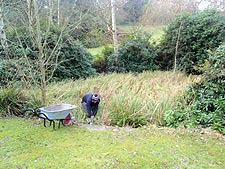 The pond was covered in plant life before the Kingston University clean-up operation.