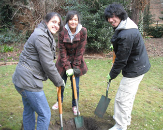 Students Mahreen Bhatti, Yasmeen Abdel Bari and Martin Tran helped to ensure Dora's garden continues to bear fruit. 