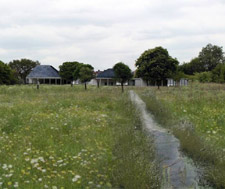 Helen Goodwin’s managed water meadow will also be on display during the festival 