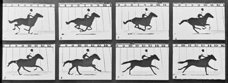 Eadweard Muybridge - 'The Horse in Motion' courtesy Kingston Museum and Heritage Service, 2010