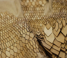 Stefanie Nieuwenhuyse has created a eco-friendly material that mimics the look and feel of snakeskin. 
