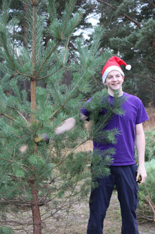 Getting into the festive spirit, student Derryn Lovett with one of the carefully chopped Christmas trees.
