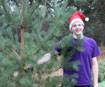 Kingston University sources sustainable Christmas trees for a greener festive season